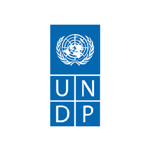 1 UNDP